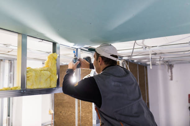 Best Eco-Friendly Insulation in Half Moon Bay, CA